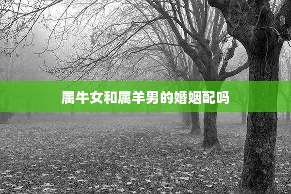 属牛女和属羊男的婚姻配吗