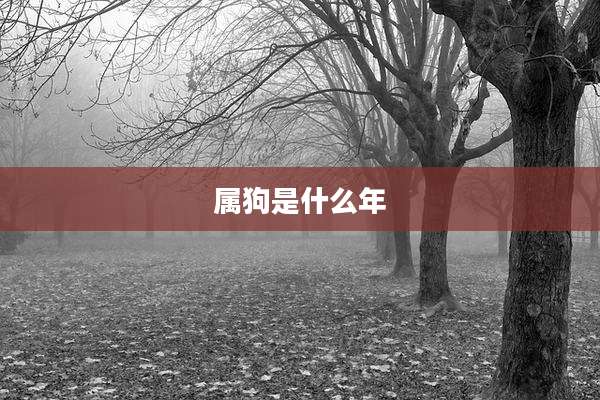 属狗是什么年