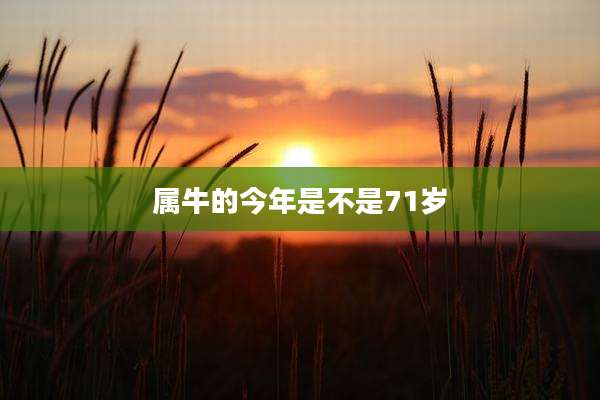 属牛的今年是不是71岁