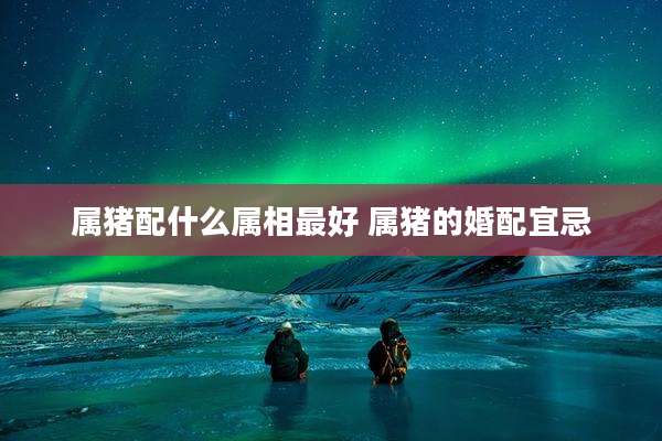 属猪配什么属相最好 属猪的婚配宜忌