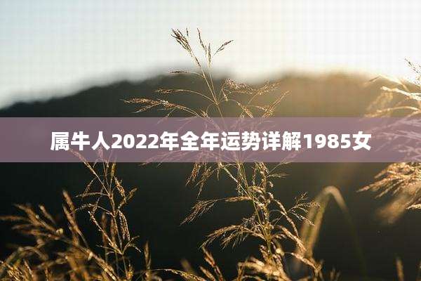 属牛人2022年全年运势详解1985女