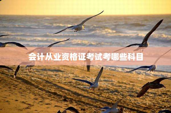 会计从业资格证考试考哪些科目
