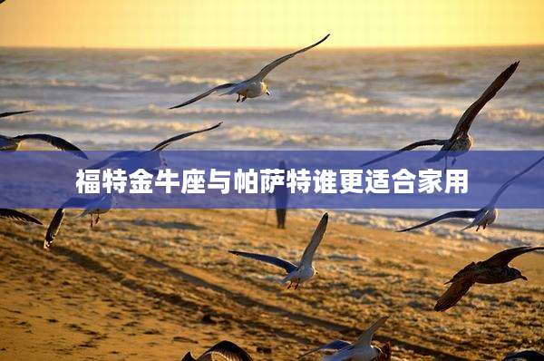 福特金牛座与帕萨特谁更适合家用