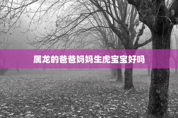 属龙的爸爸妈妈生虎宝宝好吗
