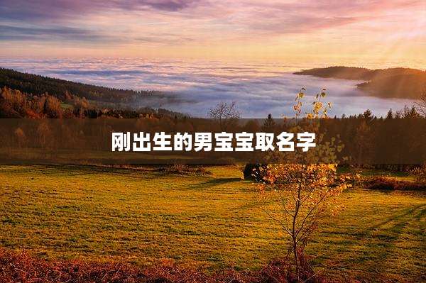 刚出生的男宝宝取名字