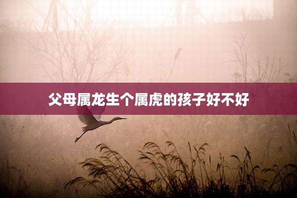 父母属龙生个属虎的孩子好不好