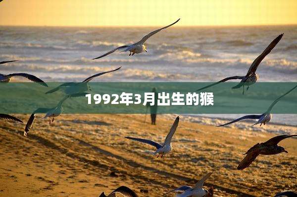 1992年3月出生的猴