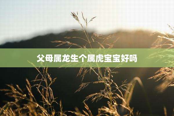 父母属龙生个属虎宝宝好吗