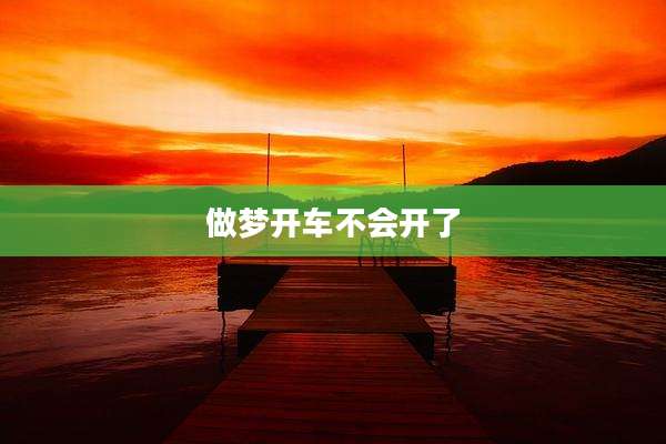 做梦开车不会开了
