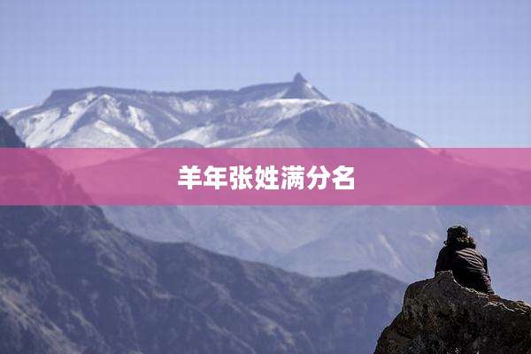 羊年张姓满分名
