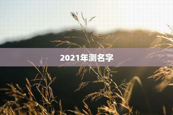 2021年测名字
