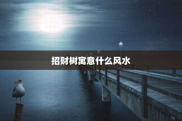 招财树寓意什么风水