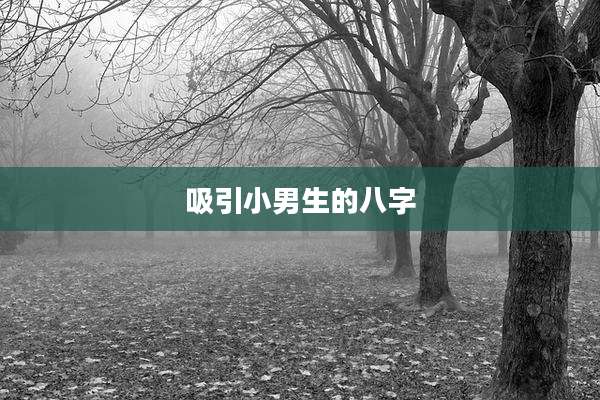 吸引小男生的八字