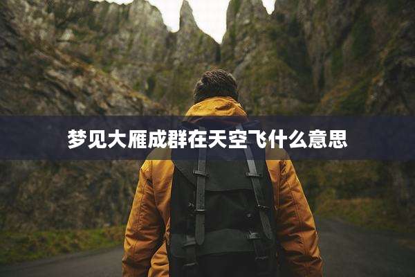 梦见大雁成群在天空飞什么意思