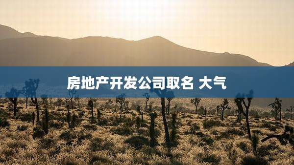 房地产开发公司取名 大气