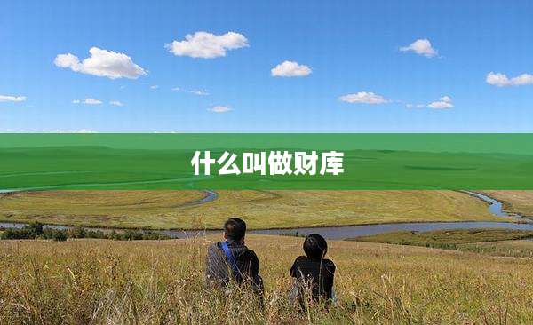 什么叫做财库