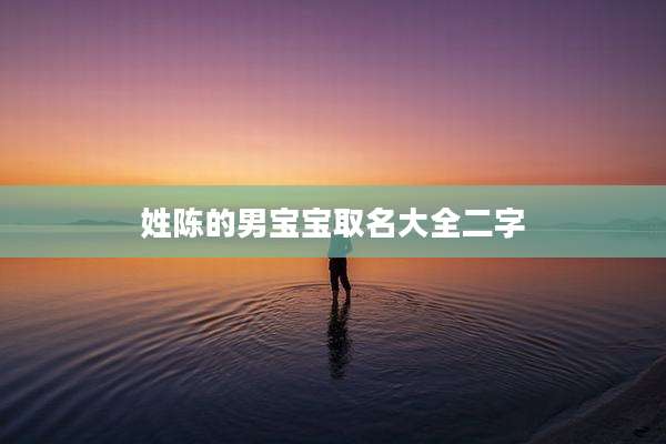 姓陈的男宝宝取名大全二字
