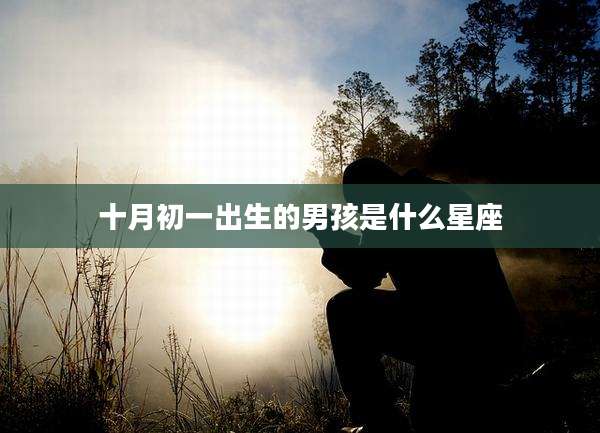 十月初一出生的男孩是什么星座