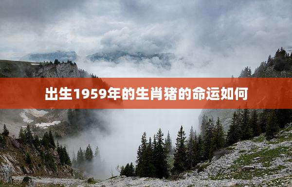 出生1959年的生肖猪的命运如何