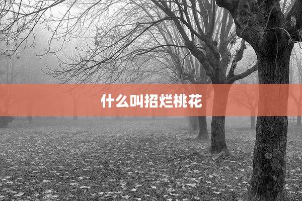 什么叫招烂桃花
