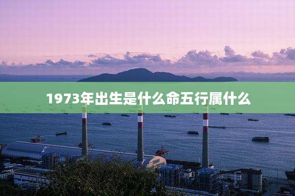 1973年出生是什么命五行属什么
