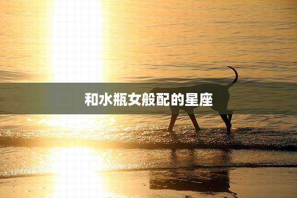 和水瓶女般配的星座