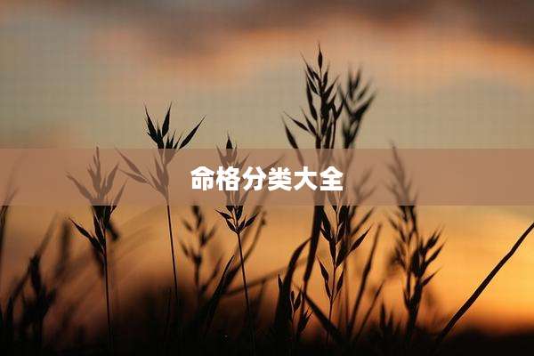 命格分类大全