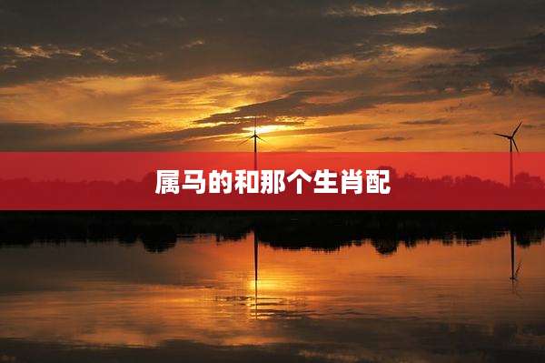 属马的和那个生肖配