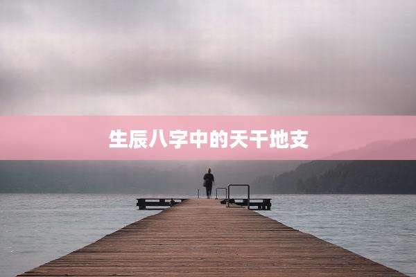 生辰八字中的天干地支