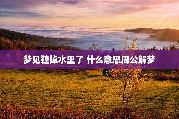 梦见鞋掉水里了 什么意思周公解梦