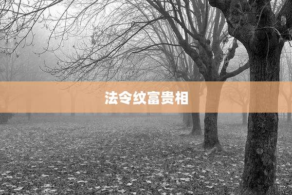 法令纹富贵相