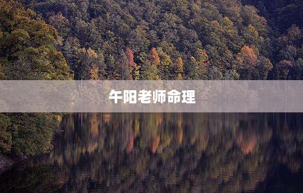 午阳老师命理