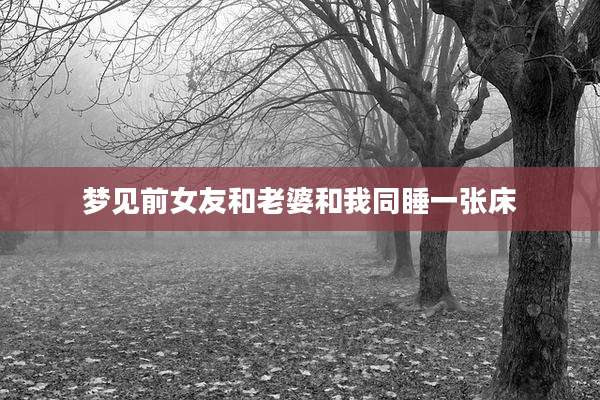 梦见前女友和老婆和我同睡一张床