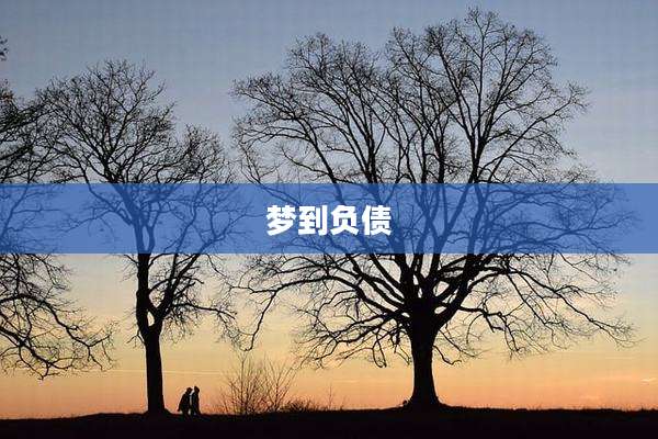 梦到负债