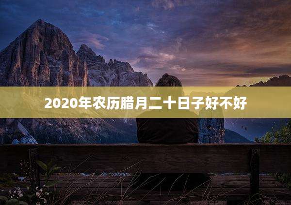 2020年农历腊月二十日子好不好