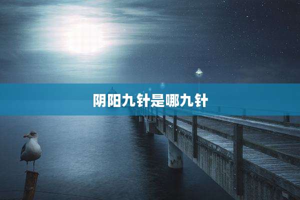 阴阳九针是哪九针