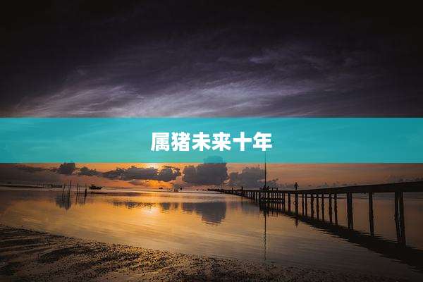 属猪未来十年
