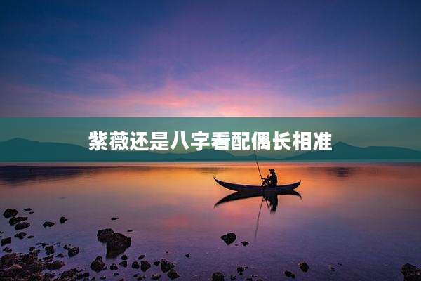 紫薇还是八字看配偶长相准