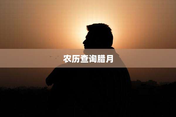 农历查询腊月