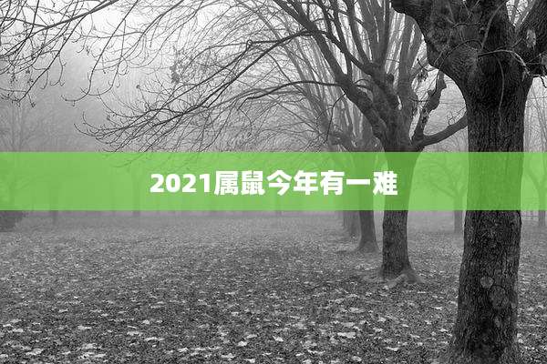 2021属鼠今年有一难