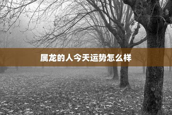 属龙的人今天运势怎么样