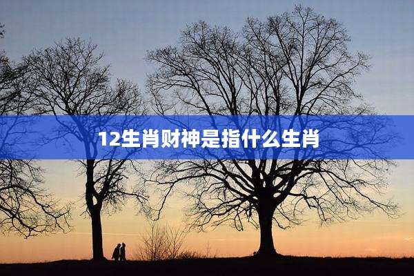 12生肖财神是指什么生肖