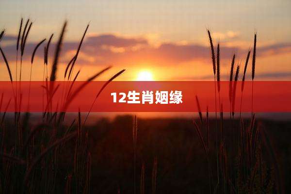 12生肖姻缘