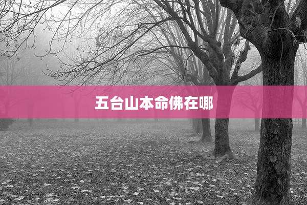 五台山本命佛在哪