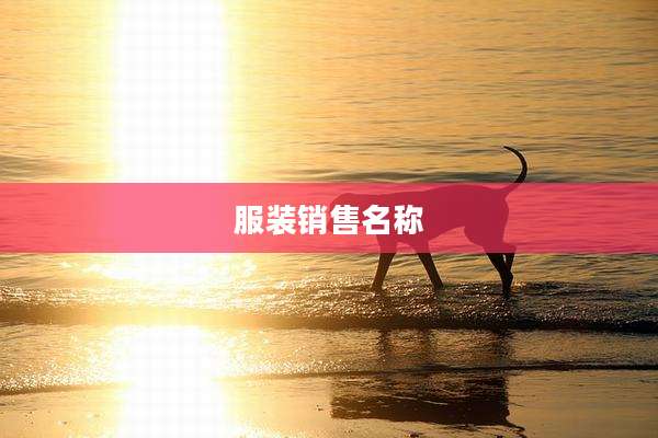 服装销售名称