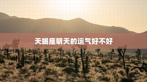 天蝎座明天的运气好不好