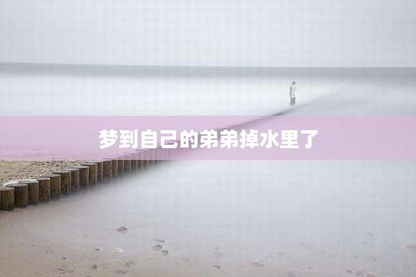 梦到自己的弟弟掉水里了