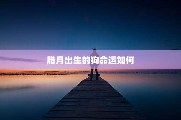 腊月出生的狗命运如何