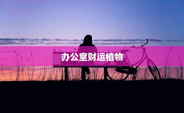 办公室财运植物