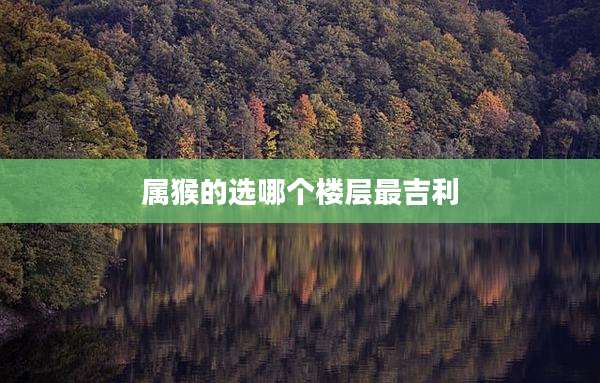 属猴的选哪个楼层最吉利